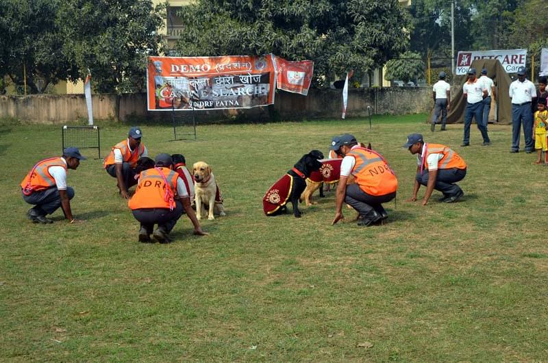 Bihar Animal Sciences University Patna Sports photo 6